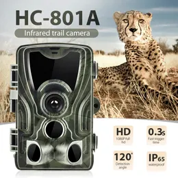 20 인치 LCD 헌팅 트레일 카메라 20MP 1080P 야간 시력 방수 카메라 PO 트랩 HC801A 무선 야생 동물 감시 240426
