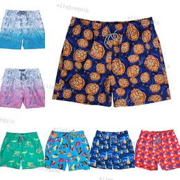 Şort Erkek Tasarımcı Şortlar Men için Tasarımcı Yüzme Sandıkları Hayvan Baskı Plajı Erkek Yüzme Şortları Wimwear Erkekler Bermuda Pantaloncini Boardshorts