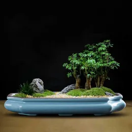 Sadzarki garnki chińskie fioletowe gliniane ceramiczny garnek kwiatowy stołek o dużej średnicy szklany soczysty krajobraz Bonsai Q240429