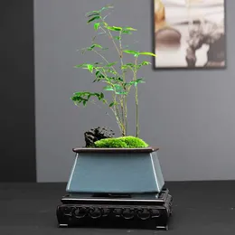 Çiziciler Pot Çin Mor Kum Pot Square Orkide Juicy Bonsai Küçük Seramik Q240429