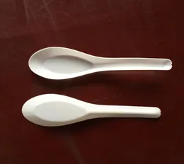 3000 pezzi cucchiai di zuppa asiatica Saimin ramen cucchiaio di plastica bianco cucchiai usa e getta per cibi da pranzo veloce 7202959