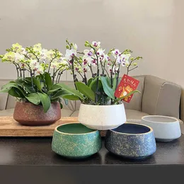 Piantatrici pentole lampada in ceramica orchidea di lusso Special Pot q240429