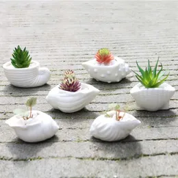 Planters POTS 6-Piece/Set Mini White Liten Flowerpot Shell Form Ceramic Juicy Plant Holder Fairy Garden Cactus för hushållsbruk Q240429