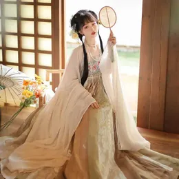 Ethnic Clothing Tang-Made Hanfu Tulle Chebule Dress Big Sleeve Shirt Embroidery Authentic Daily Suit Spring and Summer Floor-Length for Women