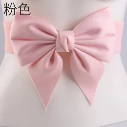 Bow Knot Elastic Wide Belt Womens Dress Waist Seal Fashion 다목적 신부 신부 들러리 웨딩 액세서리 모든 일치하는 벨트 240429