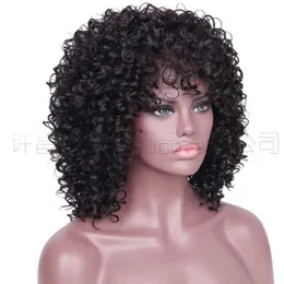 curl Wig cover wigs head chemical small fiber wig high temperature silk