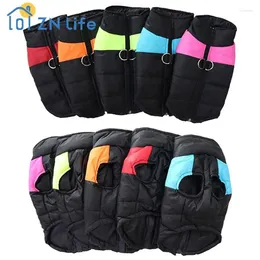 Abbigliamento per cani Neuffroproproof Cotton Padding Sicuro e pratico Waterproof Functional Fashion Winden Necessità Durevole