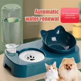 2 i 1 Pet Bowl 15 grader lutning för att skydda cervikal ryggkotor hundvatten mat skål automatisk dricksmatare husdjur matning leverans 240429