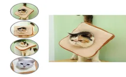 يوقت Cat Pet Cone Cone Cone Ecofriendly Friendly Soft Protection MultiFunctional Washable3940635