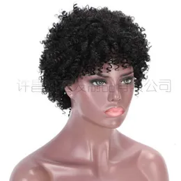 explosive women wigs small curly Wig head chemical fiber wig Headcover short