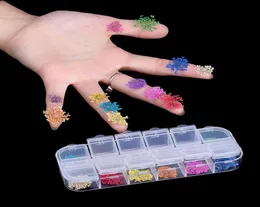 12 colori DECORAZIONI DELLA UNIGLIE ALLA ART ALLAGGIO DI FLUSAGGIO DI ASSEGGIO DEI DRIVE DRIVATO PER ASCRODER UNDI PER DESIGN UNDICA DI MANICURE STYLING STRUMENTI ALLA ART ART24828914