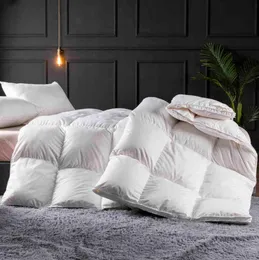 INSERT DUVET INSERT BIANCO DI LUSSO DOUE CHE STAGIONI CAPERTO CAPILATO CAPERTO TWIN COPERCIA TWIN FULL TIME DELLA TARIE2937524