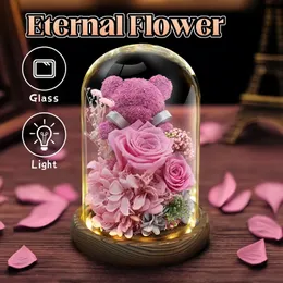 LED Preserved Roses in Glass Dome Eternal Natural Flowers Forever Love Wedding Favor For Woman Mothers Valentine's Day Gift Bear 240418