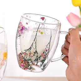 Vinglas med blomma conch flash dubbel vägg glas kopp te kaffekoppar hög borosilikat hand gåva med skönhet och kreativt hem