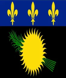 Frankreich inoffizielle Flagge der Guadeloupe Local 3ft x 5ft Polyester Banner Fliegen 150 90 cm Custom Flag Outdoor8258306