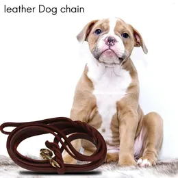 Dog Apparel 2M Long Leather Braided Pet Walk Traction Collar Strap Training Leash Lead