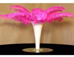 Feather di struzzo rosa naturale prefetto 1012 decorazione di decorazioni per matrimoni decorazioni per le feste