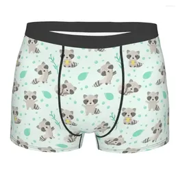 Underpants Raccoon Men Funny Underwear Cartoon Cartoon Cineple Boxer Shorts Pantalie Polyester per Homme Plus size