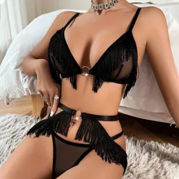 Bras senta borlas lingerie 3 peças roupas íntimas fêmeas transparentes de sutiã de luxo