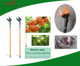 12V Zeytin Hasat Makinesi için Elektrikli Zeytin Tasaratı Meyve Tasaratı Tarihleri ​​Ceviz Küçük Meyveler Shaker Harvester285T1197014