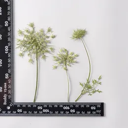 장식용 꽃 7-10cm/12pc 천연 건조 프레스 파슬리 가지 마른 식물에 폭시 수지 보석 양초 만들기