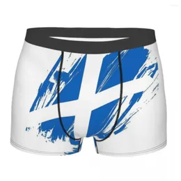 Underpants Scotland Alba National Flag Dreathbale Panties