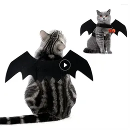 Cat Costumes Bat Wing Props Unique Design Dålig fashionabla måste ha nöje kul halloween husdjur leveranser kläder