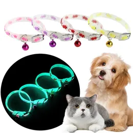 Luminöser Katzenhalskette glühen kleine Hunde Katzenkragen Antiloss Fluoreszenz Silikon Katze Glockenhalshalshals Hals Ring Pet Cat Accessoires 240429