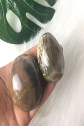 Natural Black Moonstone Polished Palm Stone Healing Gemstone Palms for Party Gift Decoration 1PC2689214