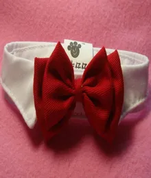 Ny liten justerbar hund Bow Tie Neck Tie Cute Pet Cotton British Style Collar For Small Dogs Cats Neck Tie G4748676771