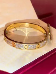 Pulseiras de chave de fenda gipsophila para mulheres tênis de aço inoxidável de ouro rosa casal de diamante Bracelet Jóias de moda em Hand6151217