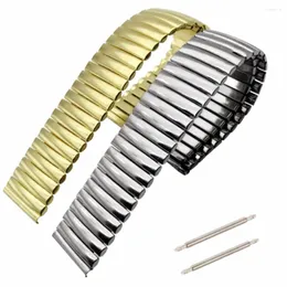 Watch Bands 12 14 16 18 20 22mm Stretch Expansion Stainless Steel Parts Band Strap Silver Metal Bracelets Accessories