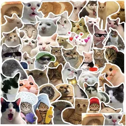 Araba Çıkartmaları 50 PCS İnternet Ünlü Kitty Meme Sticker Funny Cat ITI DIY LAGE LAPE SKYABOWAR MOSTER BİSİKLİ DÖNÜŞ