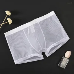 Cuecas masculinas ultrafinas transparentes, cuecas sexy sem costura, calças masculinas de malha de cintura média, boxer shorts