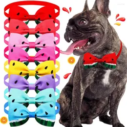 ملابس الكلاب 50PCS Bulk Summer Bow Tie for Small Cat Bowties Collar Dogs Pets Petie Pet Pet Products Accessores