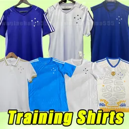 23/24 Cruzeiro EC Soccer Jerseys 100 -årsjubileum Giovanni Edu Bruno Jose Football Shirts 2023 2024 Adriano Camiseta de Raposas Men Training Vest