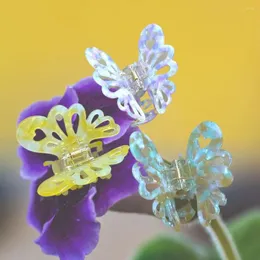 Fermagli per capelli Corea INS Clip a farfalla 3D in acetato per le donne Accessori retrò carini Regali di gioielli con ciondoli dolci Kawaii