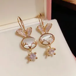 Dangle Earrings Cute Animals Simulation Gemstones Hook Pride Accessory Accessories 2024