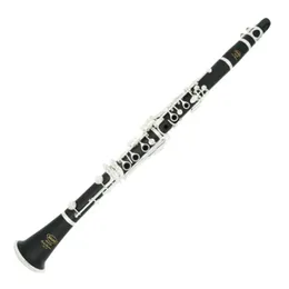 SADSN SCL-450 Clarinetto in Sib Tune a 17 tasti Corpo in bachelite Chiave in argento B Clarinetto piatto Strumento musicale professionale con custodia