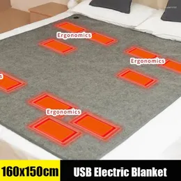 카펫 180x150cm 전기 난방 담요 6 개 구역 5V USB 가열 된 침낭 패드 홈 오피스 자동차 캠핑 낚시