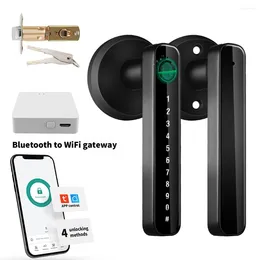 Bloqueio inteligente tuya app controle remoto senha de impressão digital código biometria elétrica número única trava porta com chave