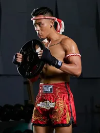 PUGILIST P2 pantaloncini per muay thai tigre pantaloncini muay thai boxe lotta corta sport ricamo pantaloncini ad asciugatura rapida per thai boxe 240119