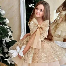 Kız Elbise Şampanya Çiçek Elbise Düğün Glitter için Bow sevimli Bebek Pageant Prenses İlk Cemaat Balo Koyu Gowns