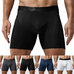 Underpants 남자 길이 복서 복잡한 반바지 부풀림 파우치 브리프 속옷 운동 피트니스 편안한 편안한 XL -4XL 2024