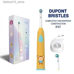 Toothbrush ren Rechargable Rotation Electric Toothbrush Cartoon Pattern Tooth Brush Heads Electric Teeth Brush For with 2 pcs Head Q240202