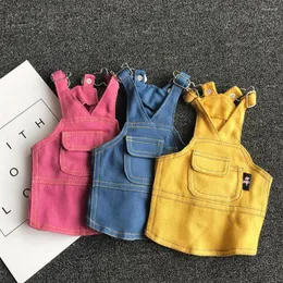 Abbigliamento per cani Gonna con bretelle di colore brillante Gatto carino Teddy Bichon Metodo di combattimento Vestiti per cuccioli Tuta per cani