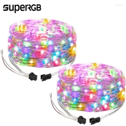 Strings 5m 50 Light Christmas Lights LED String DC5V RGBIC WS2812B Room Decoration RGB Strip (No Adapter Or Controller)