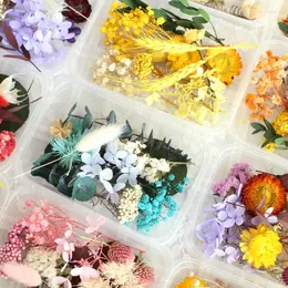 Flores decorativas 1 caixa pacote de material de flores secas vida eterna planta vela perfumada resina epóxi fazendo artesanato diy acessórios para casa