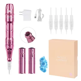 Drahtloses Permanent-Make-up-Maschinen-Set, Mikropigmentierung, Microblading-Stift, Augenbrauen-Tattoo-Set mit 2 Batterien, 5 Stück Kartuschennadel 240122