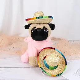 Köpek giyim mini evcil köpekler hasır şapka sombrero kedi güneş komik hawaii plaj partisi renkli